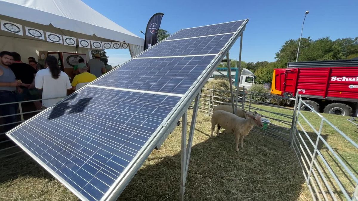 découvrez comment la technologie influence la conception et l'efficacité des panneaux solaires. explorez les innovations récentes qui transforment l'industrie et améliorent l'impact environnemental des énergies renouvelables.
