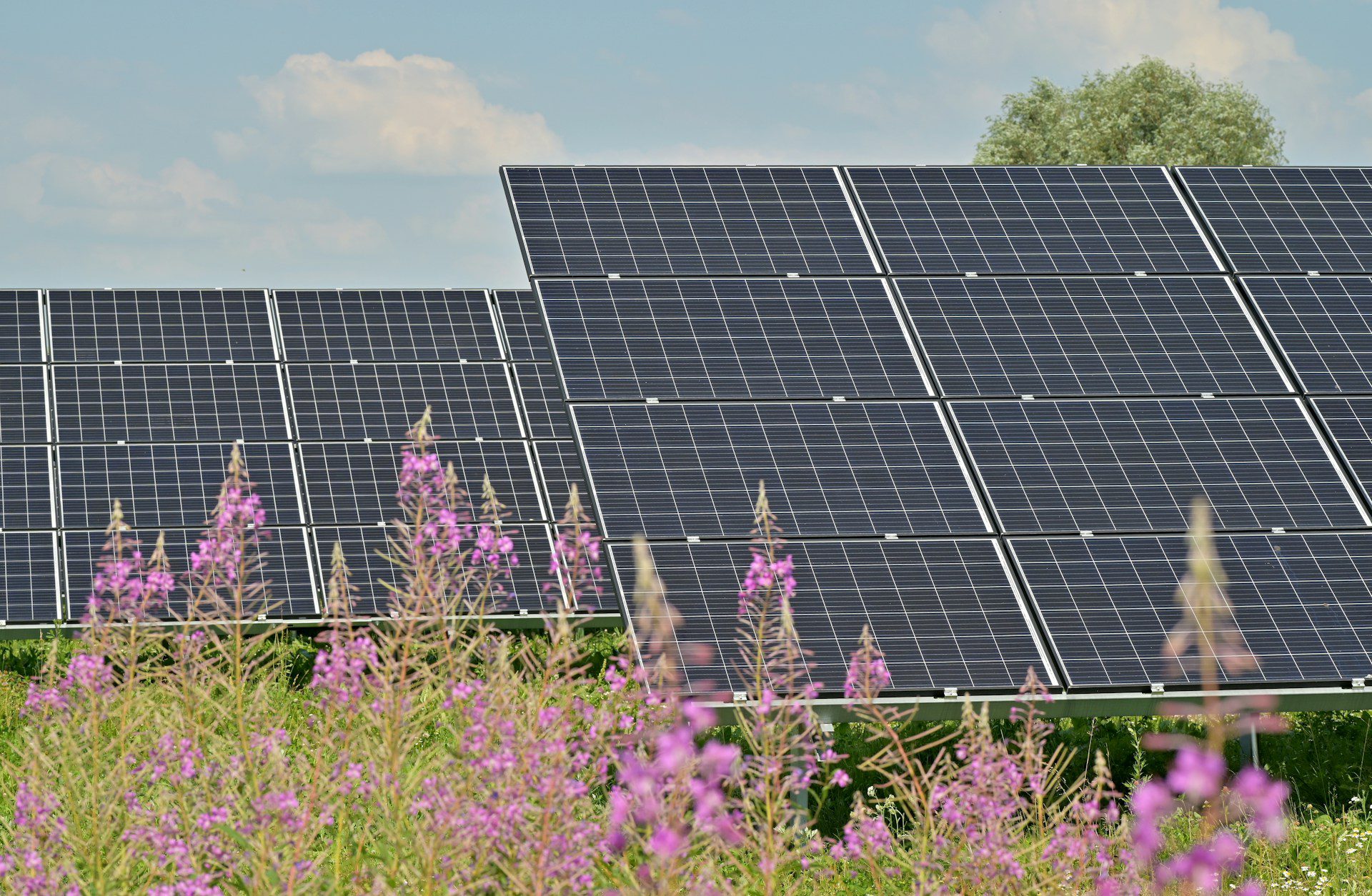 découvrez les opportunités passionnantes offertes par les panneaux solaires pour maximiser votre énergie renouvelable, réduire vos factures d'électricité et contribuer à un avenir durable. explorez des solutions innovantes et rentables adaptées à vos besoins.