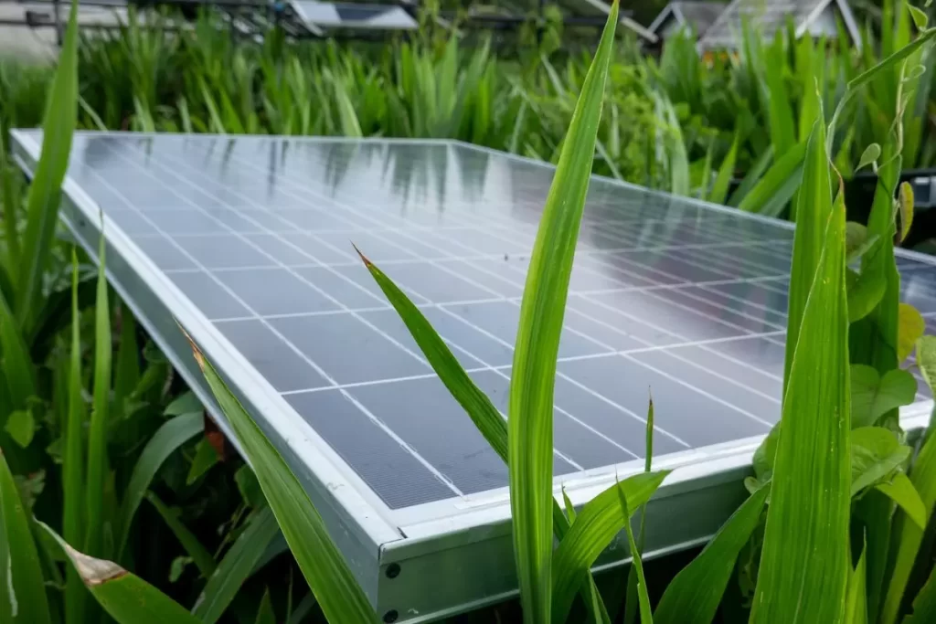 découvrez comment un investissement dans des panneaux solaires peut réduire vos factures d'énergie et contribuer à un avenir durable. apprenez les avantages fiscaux et les options de financement pour maximiser votre retour sur investissement.
