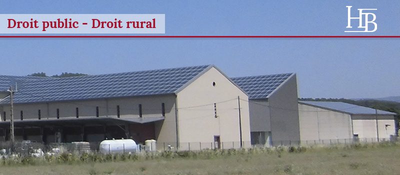 découvrez comment les panneaux photovoltaïques ruraux transforment l'énergie solaire en une solution durable pour les communautés agricoles. optimisez votre consommation d'énergie tout en préservant l'environnement grâce à des technologies innovantes.