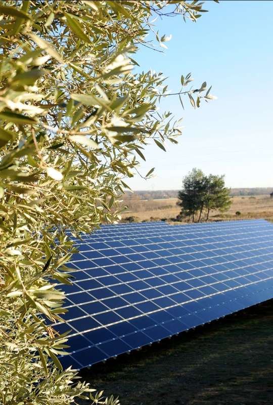 découvrez les panneaux solaires edf, une solution énergétique durable et écologique pour réduire vos factures d'électricité. profitez d'une installation de qualité et d'un accompagnement personnalisé pour une transition énergétique réussie.