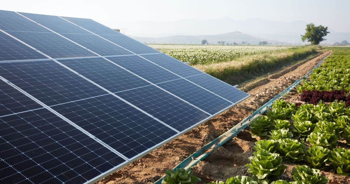 découvrez l'énergie photovoltaïque, une solution durable et écologique pour produire de l'électricité à partir du soleil. informez-vous sur ses avantages, son fonctionnement et comment intégrer cette technologie dans votre quotidien pour une transition énergétique réussie.