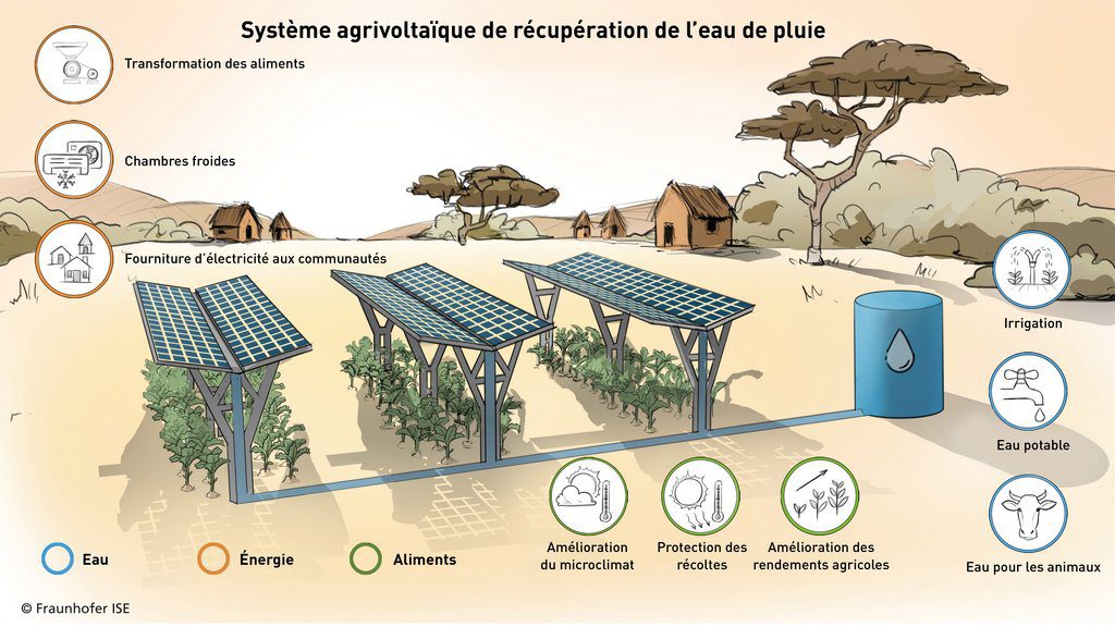 découvrez comment l'intégration des panneaux photovoltaïques au sol peut non seulement optimiser la production d'énergie renouvelable, mais aussi améliorer les rendements agricoles. explorez les avantages d'une agriculture durable et innovante grâce à une synergie entre l'énergie solaire et l'agriculture.