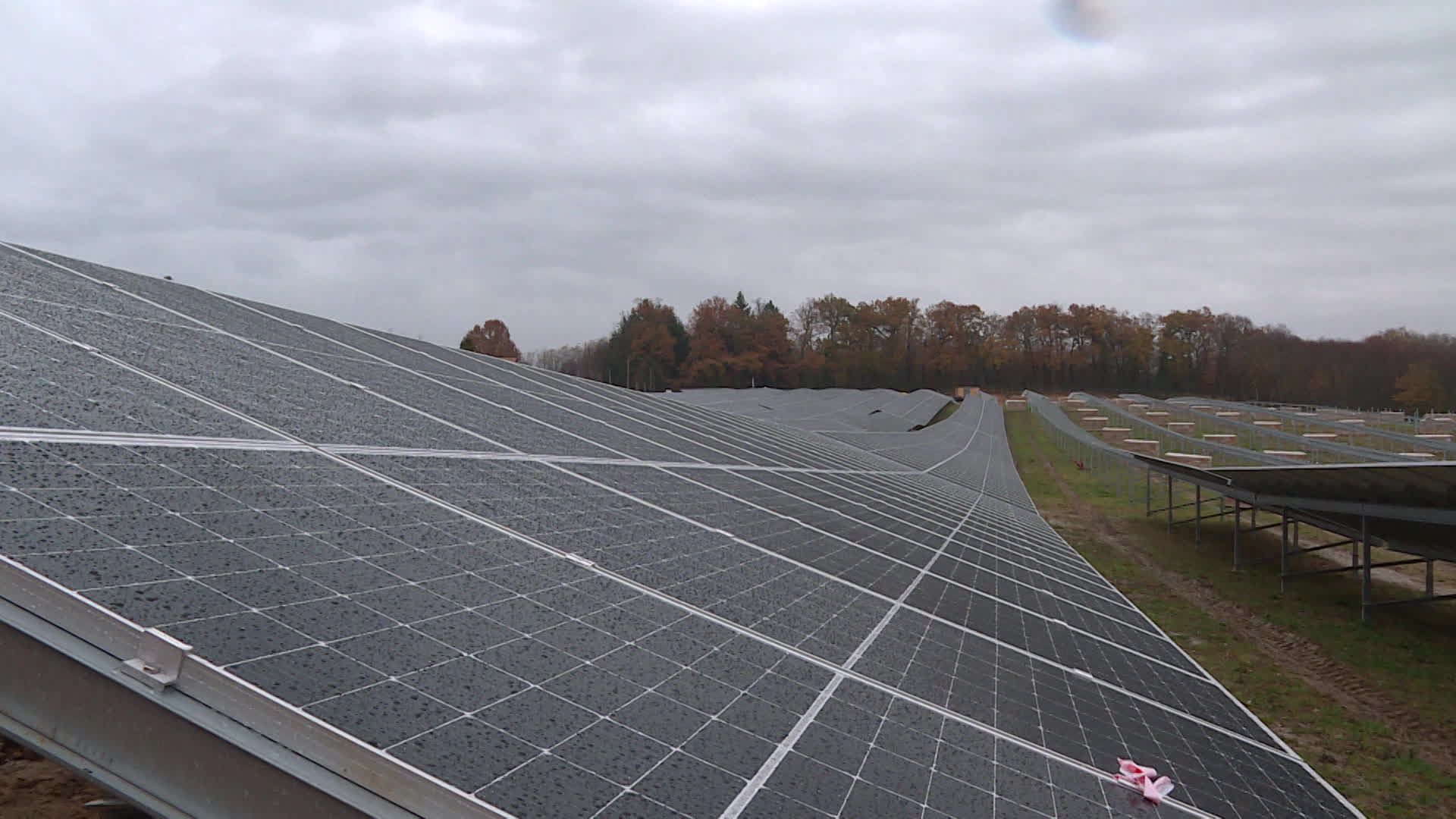 découvrez notre projet innovant de parc solaire, qui vise à promouvoir une énergie durable et renouvelable. apprenez comment cette initiative contribue à la transition énergétique, réduit l'empreinte carbone et soutient le développement économique local.