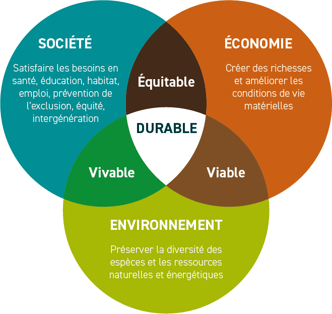 découvrez comment la responsabilité sociale des entreprises (rse) influence positivement la société et l'environnement. explorez les initiatives qui favorisent un développement durable et une éthique professionnelle à travers les actions concrètes des entreprises.