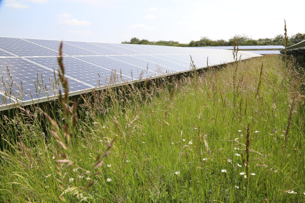 découvrez comment les énergies solaires transforment notre patrimoine architectural et environnemental. explorez les initiatives innovantes qui allient préservation du patrimoine et développement durable grâce à l'énergie solaire.