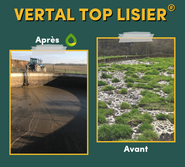 découvrez les solutions innovantes de bioglobal pour une agriculture durable. améliorez vos rendements tout en préservant l'environnement grâce à des pratiques respectueuses de la nature.