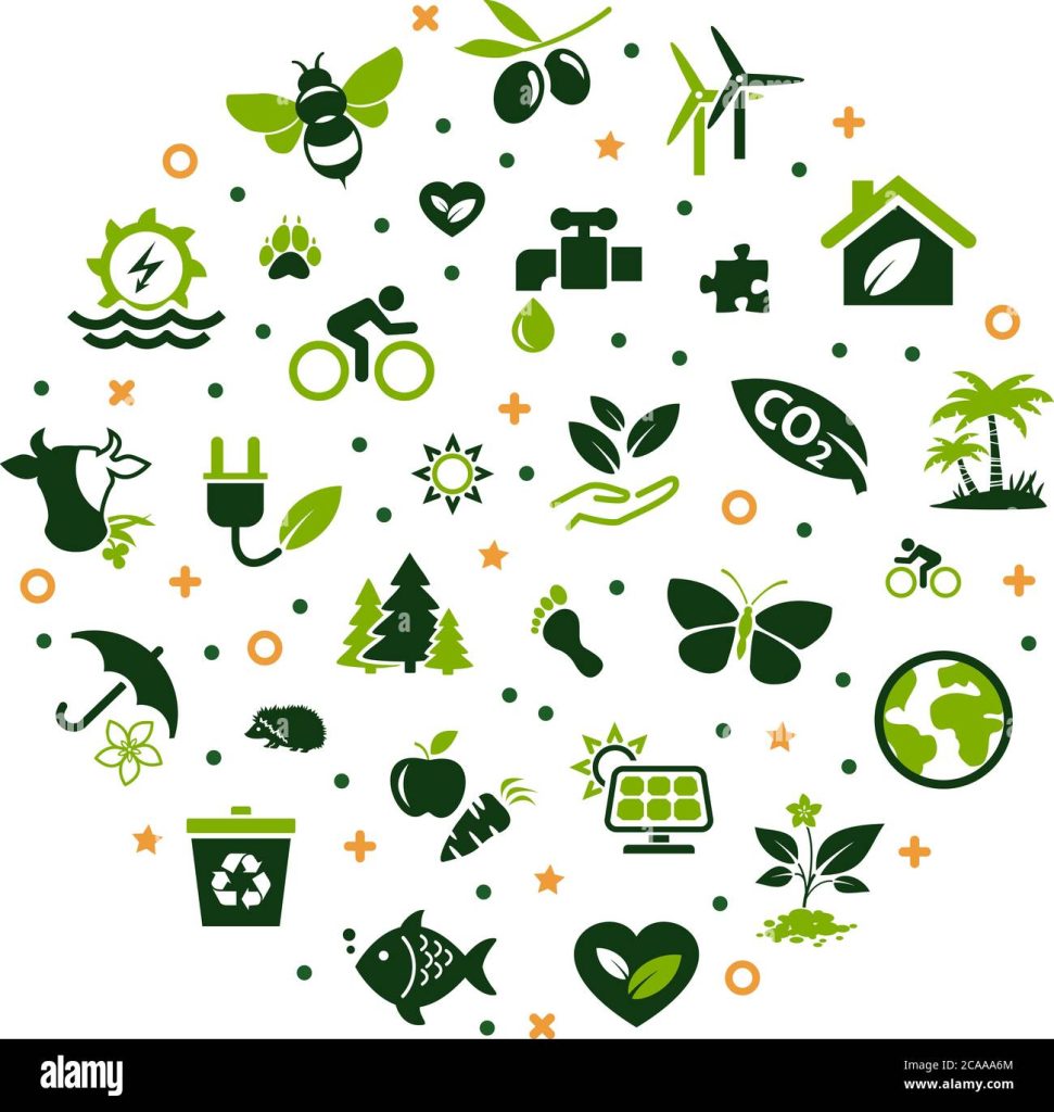 découvrez des solutions écologiques alternatives pour un mode de vie durable. explorez des produits et des pratiques qui respectent l'environnement tout en améliorant votre quotidien.