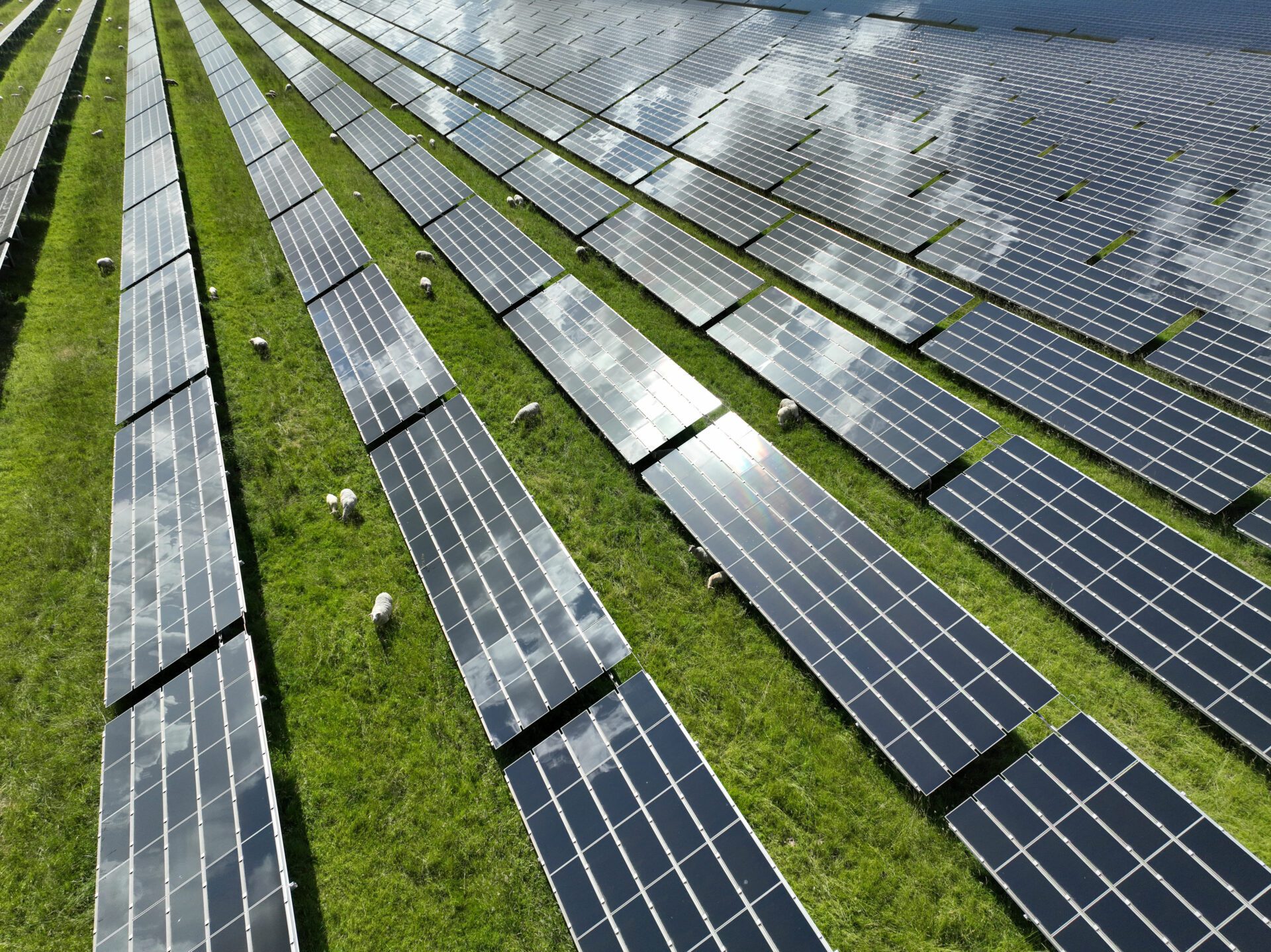 découvrez kalisolar, votre expert en solutions énergétiques innovantes et durables. profitez de nos services pour optimiser votre consommation d'énergie, réduire vos coûts et contribuer à la transition énergétique.