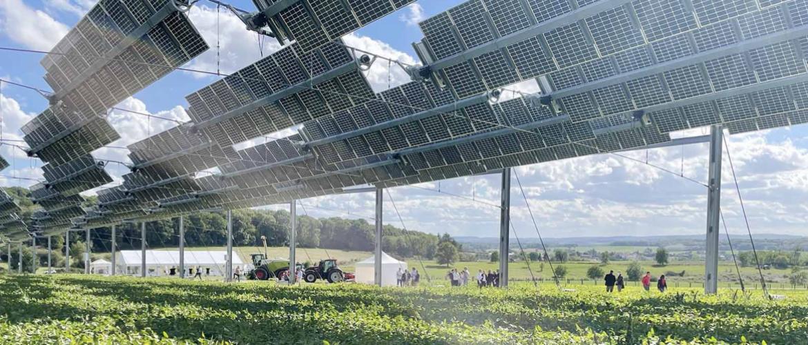 découvrez comment maximiser la surface des panneaux photovoltaïques en agriculture pour optimiser la production d'énergie renouvelable tout en préservant l'efficacité des cultures. explorez les atouts de l'intégration des panneaux solaires dans vos exploitations agricoles.