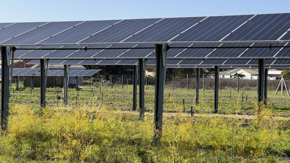 découvrez comment l'utilisation de la surface des panneaux photovoltaïques dans l'agriculture peut révolutionner le secteur. optimisez vos espaces cultivables tout en produisant une énergie durable et en réduisant vos coûts. explorez les avantages et les innovations en matière de panneaux solaires adaptés à l'agriculture.