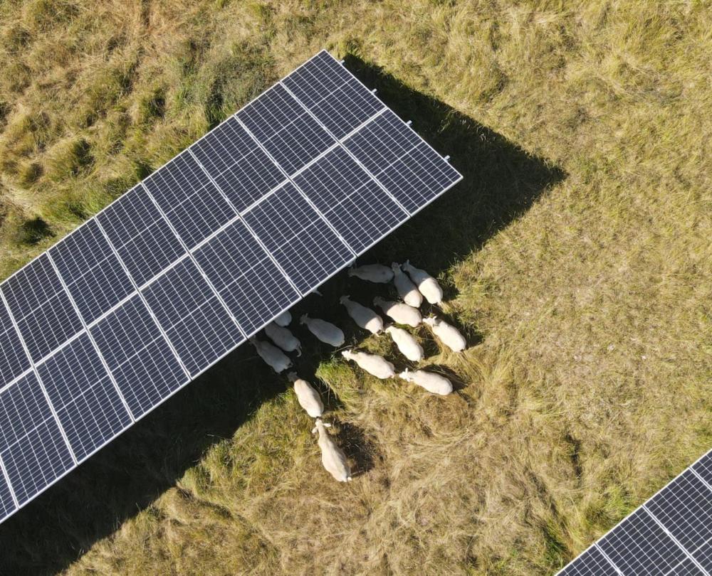 découvrez les dernières tendances des panneaux photovoltaïques, une solution durable et innovante pour la production d'énergie solaire. informez-vous sur les avancées technologiques, les nouvelles installations et les avantages écologiques et économiques de cette énergie renouvelable.