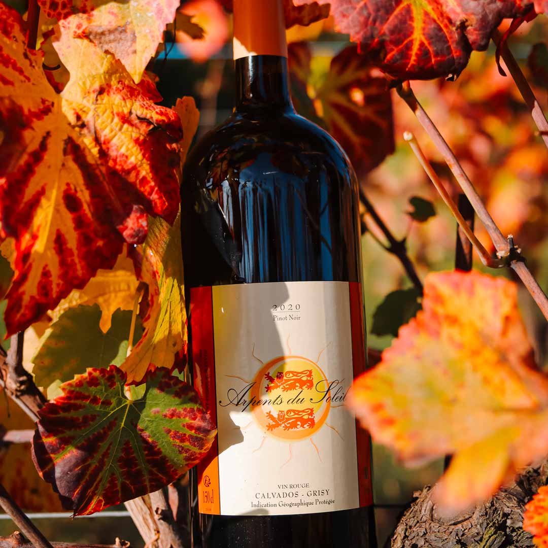 découvrez l'univers ensoleillé des vins du soleil, des produits authentiques et savoureux issus des terroirs ensoleillés. laissez-vous séduire par la richesse aromatique et la qualité exceptionnelle de nos sélections de vins, parfaits pour accompagner vos repas et célébrations.