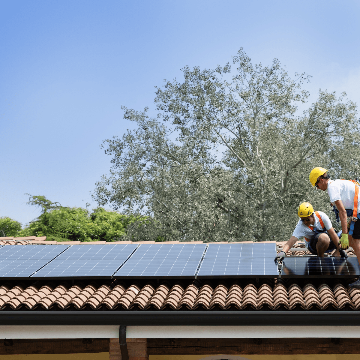 découvrez les avantages des panneaux solaires sunpower, leaders en efficacité énergétique. profitez d'économies sur vos factures d'électricité, d'une durabilité exceptionnelle et d'une technologie innovante pour un avenir durable. adoptez une énergie renouvelable de qualité supérieure pour votre maison.
