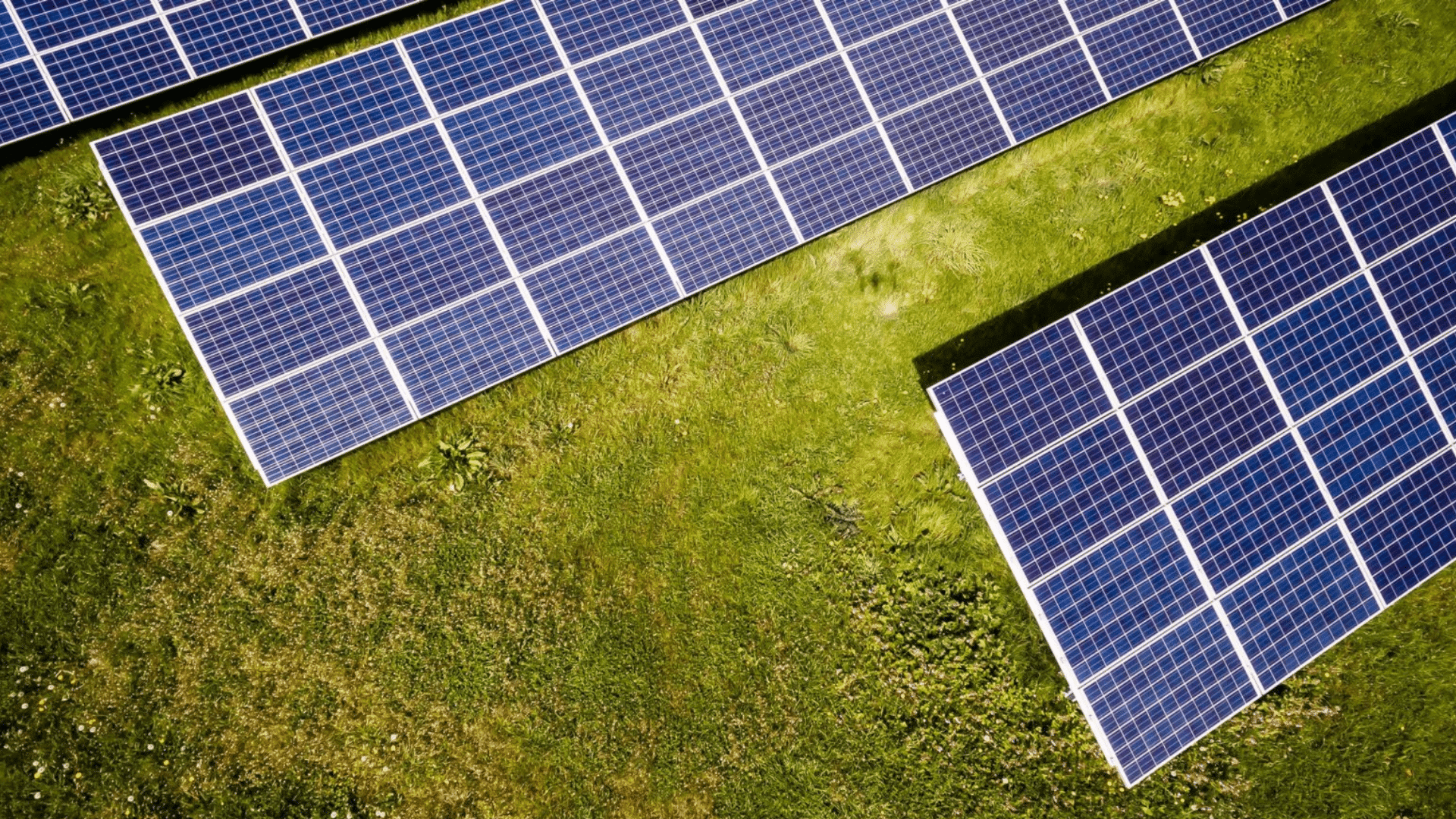 découvrez les avantages des panneaux photovoltaïques monocristallins : performance optimale, efficacité énergétique accrue et esthétique moderne. optez pour une solution durable et bénéfique pour votre consommation d'énergie.