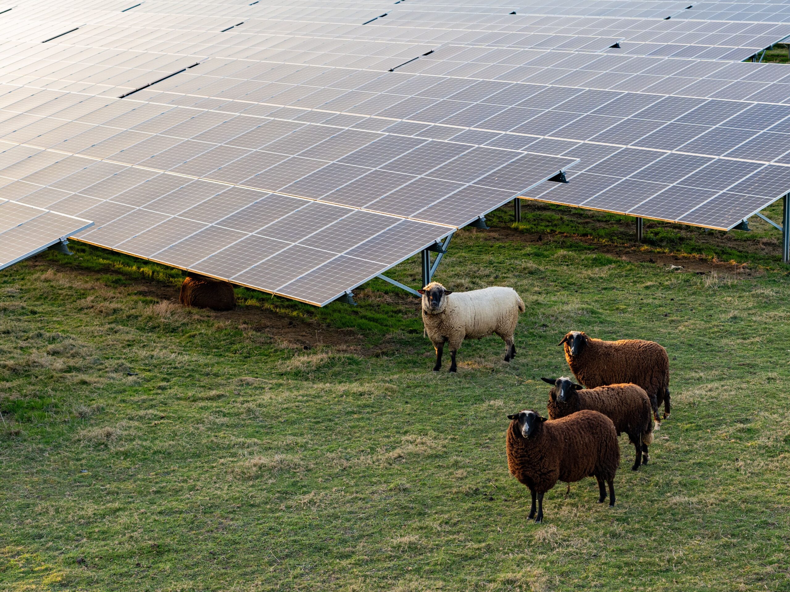 découvrez les nombreux avantages des panneaux photovoltaïques dans les zones rurales : autonomie énergétique, réduction des factures d'électricité, impact environnemental positif et création d'emplois locaux. adoptez l'énergie solaire pour un avenir durable et responsable.