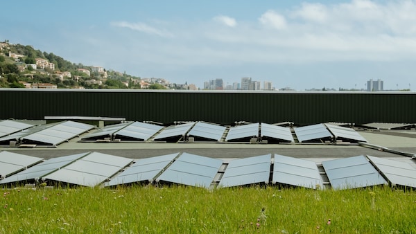 découvrez notre avis sur les panneaux photovoltaïques ikea : performances, rapport qualité-prix, installation et retour d'expérience. faites le choix éclairé pour votre énergie renouvelable grâce à notre analyse détaillée.