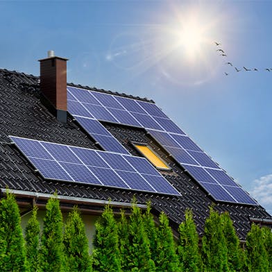 découvrez les distinctions entre la lumière et l'énergie solaire. apprenez comment la lumière émane du soleil et comment elle se transforme en énergie renouvelable, essentielle pour notre planète. explorez les concepts fondamentaux qui régissent ces phénomènes naturels.