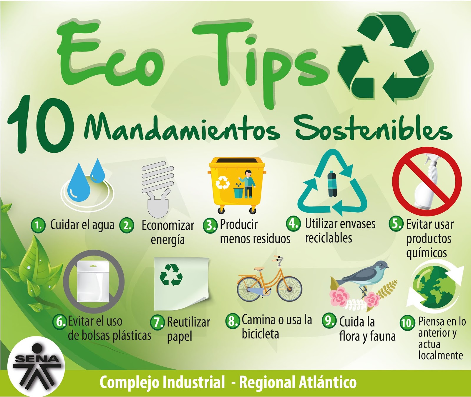 découvrez des écotips essentiels pour adopter un mode de vie durable et respectueux de l'environnement. transformez votre quotidien avec des conseils pratiques pour réduire votre empreinte écologique tout en préservant notre planète.