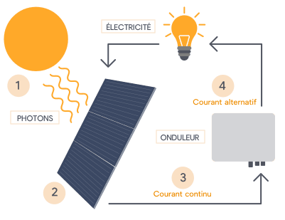 découvrez le fonctionnement des systèmes photovoltaïques, de la conversion de la lumière du soleil en électricité à l'utilisation de panneaux solaires, et apprenez comment cette technologie durable contribue à la transition énergétique.