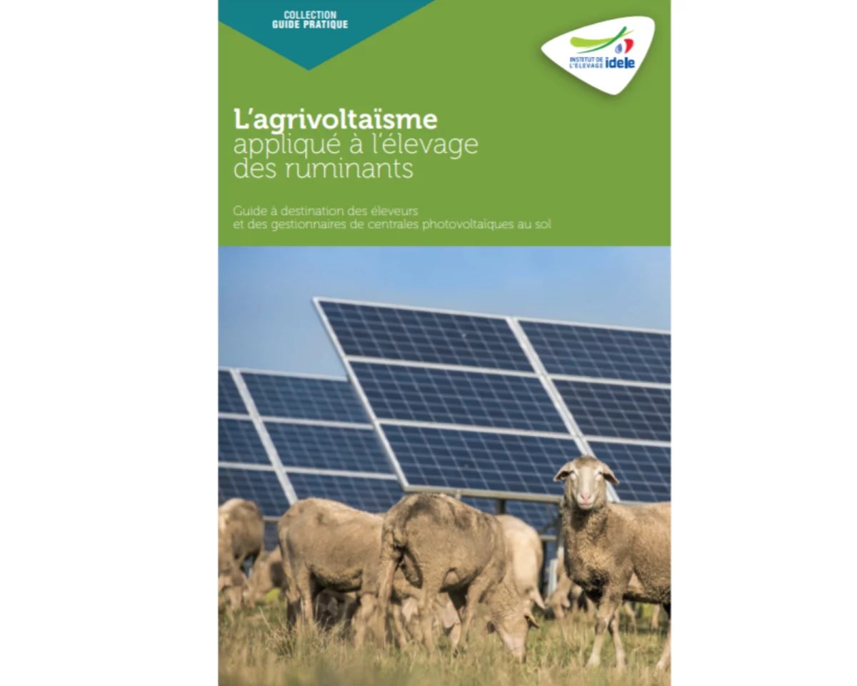 découvrez notre guide photovoltaïque au format pdf, qui vous offre des informations complètes sur l'énergie solaire, les avantages des panneaux photovoltaïques, les étapes d'installation et les conseils pour maximiser vos économies d'énergie.