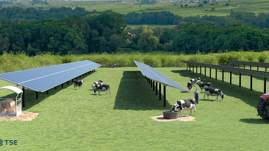 découvrez comment l'ombre peut influencer l'efficacité des panneaux photovoltaïques. apprenez les meilleures pratiques pour optimiser la production d'énergie solaire malgré les zones d'ombre et maximiser votre investissement dans les énergies renouvelables.