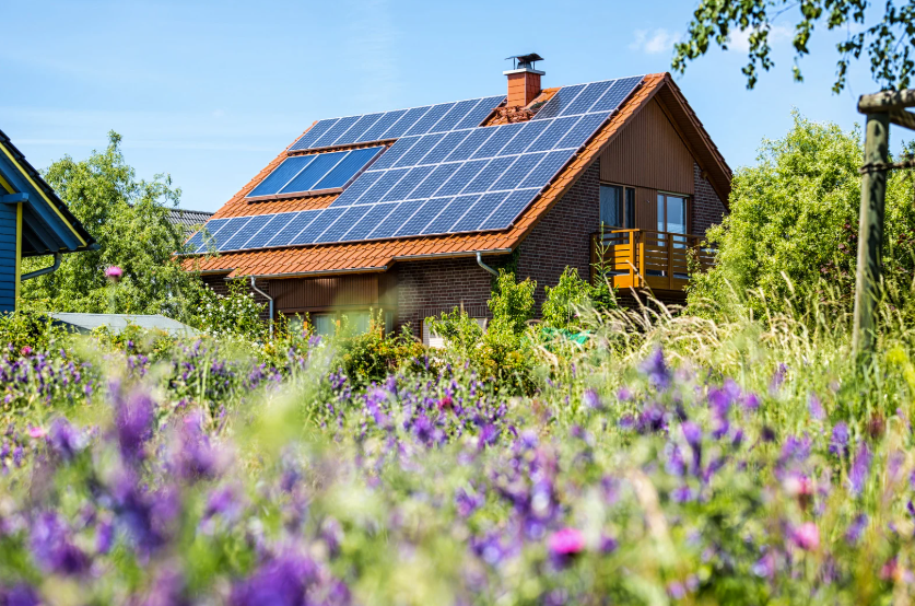 découvrez comment intégrer des panneaux solaires dans votre jardin pour maximiser l'énergie renouvelable tout en embellissant votre espace extérieur. transformez votre jardin en un havre de verdure éco-responsable avec des solutions solaires innovantes.