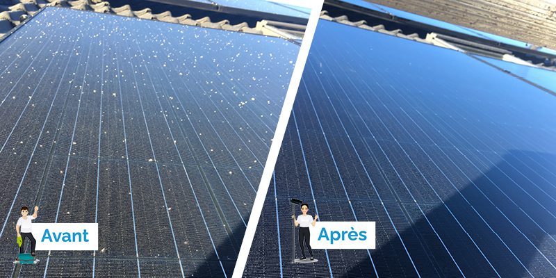 découvrez nos services professionnels de nettoyage pour panneaux photovoltaïques, garantissant une efficacité optimale et une longue durée de vie à vos installations solaires. prolongez la performance de votre investissement en énergie renouvelable dès aujourd'hui !