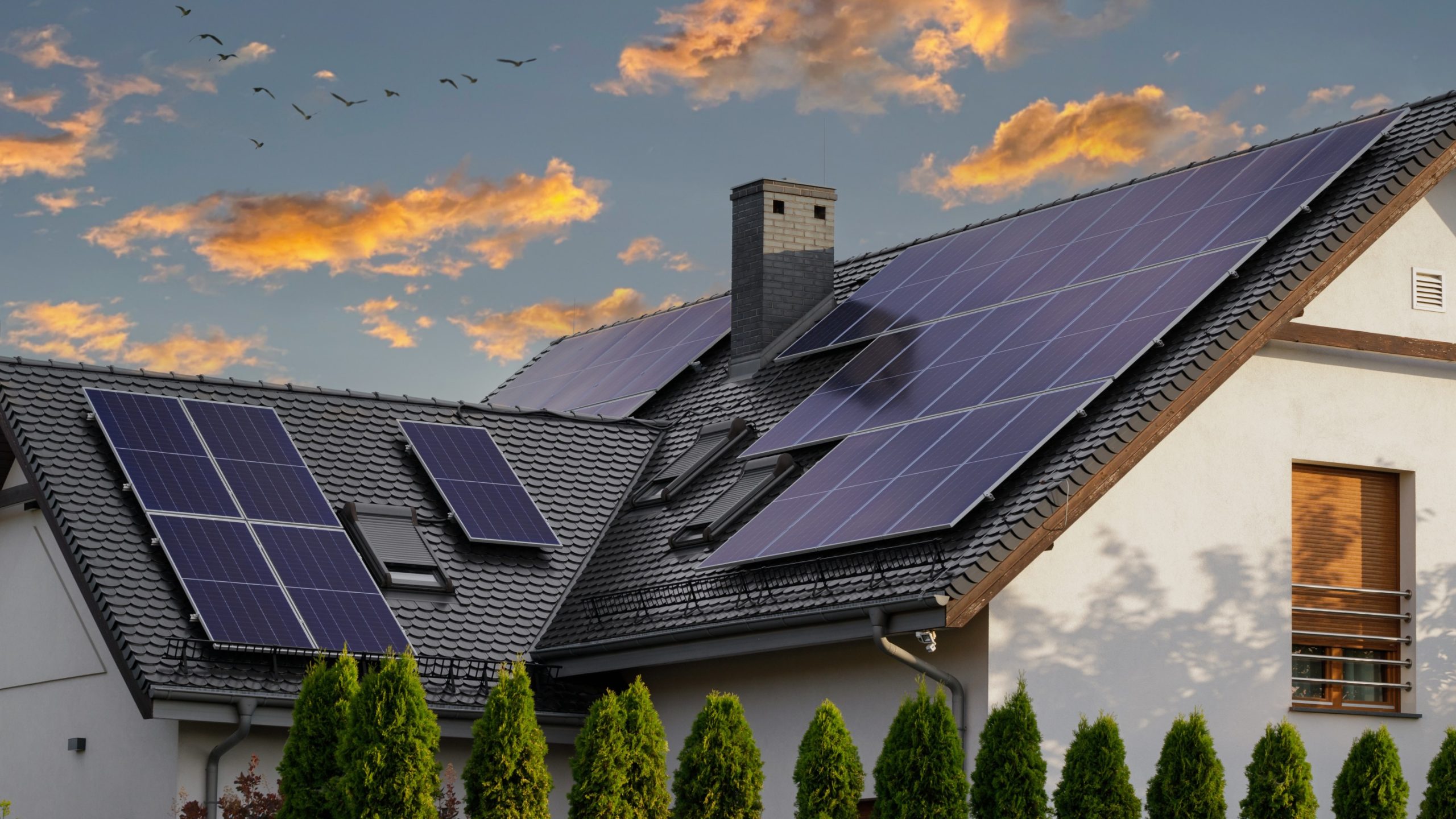 découvrez notre offre exclusive sur les panneaux solaires à seulement 1 euro ! profitez de cette opportunité pour adopter une énergie renouvelable, réduire vos factures d'électricité et contribuer à la protection de l'environnement. ne manquez pas cette chance de faire un investissement durable et économique.