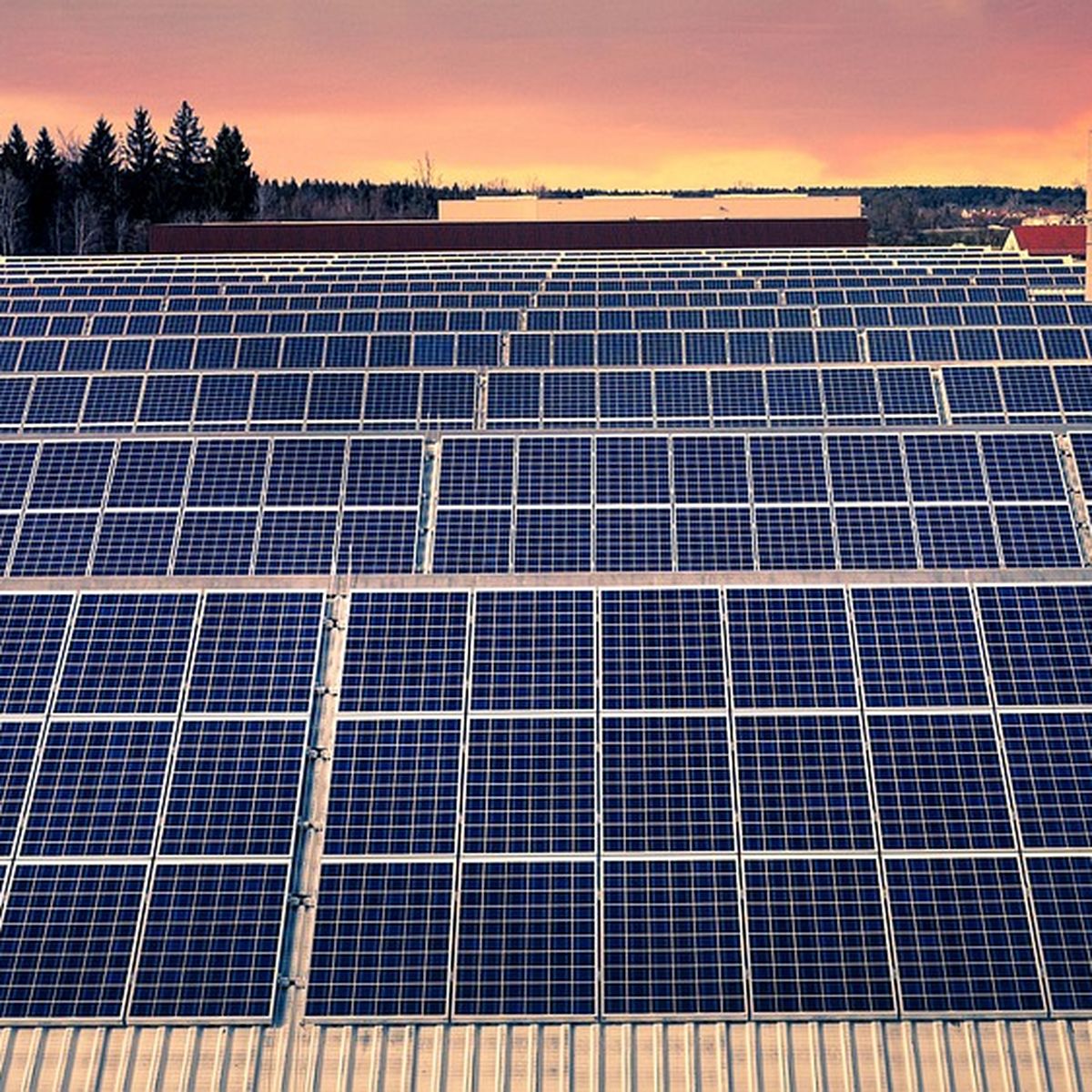 découvrez comment profiter des panneaux solaires à 1 euro en 2025, une opportunité exceptionnelle pour réduire votre facture d'énergie tout en contribuant à la transition écologique. informez-vous sur les aides disponibles et les avantages d'une installation solaire.
