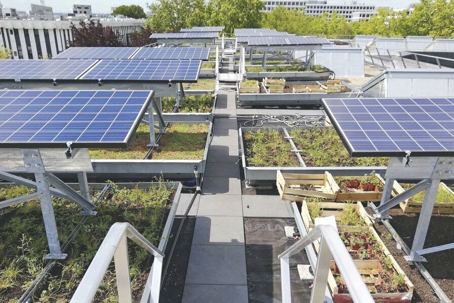 découvrez comment l'installation de panneaux photovoltaïques peut coexister harmonieusement avec la biodiversité, en préservant les écosystèmes tout en produisant une énergie durable. explorez les bénéfices environnementaux et les solutions innovantes qui favorisent un avenir énergétique responsable.