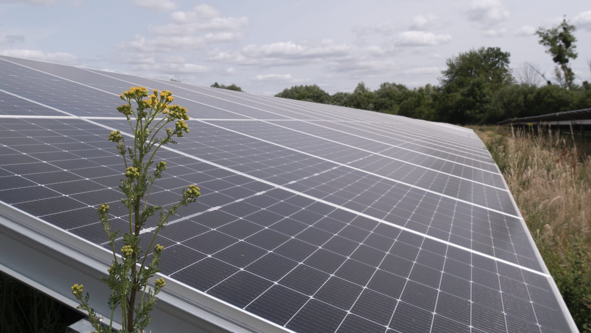 découvrez nos panneaux photovoltaïques éthiques, une solution durable pour produire de l'énergie renouvelable tout en respectant l'environnement et les principes de commerce équitable. optez pour une transition énergétique responsable et contribuez à un avenir plus vert.
