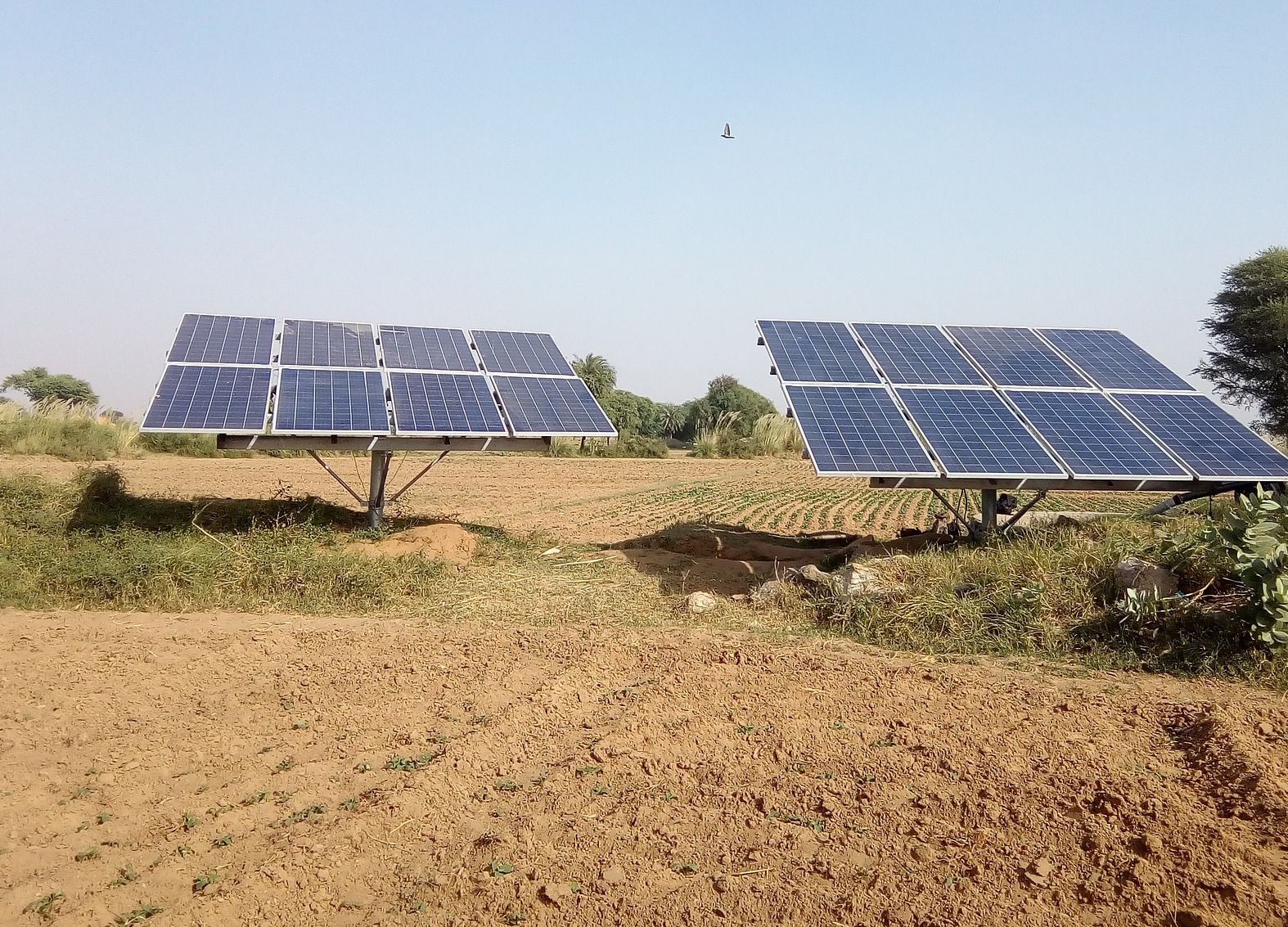 découvrez les avantages des panneaux solaires allemands, réputés pour leur qualité et leur efficacité. optimisez votre consommation d'énergie tout en respectant l'environnement grâce à des solutions solaires fiables et durables.