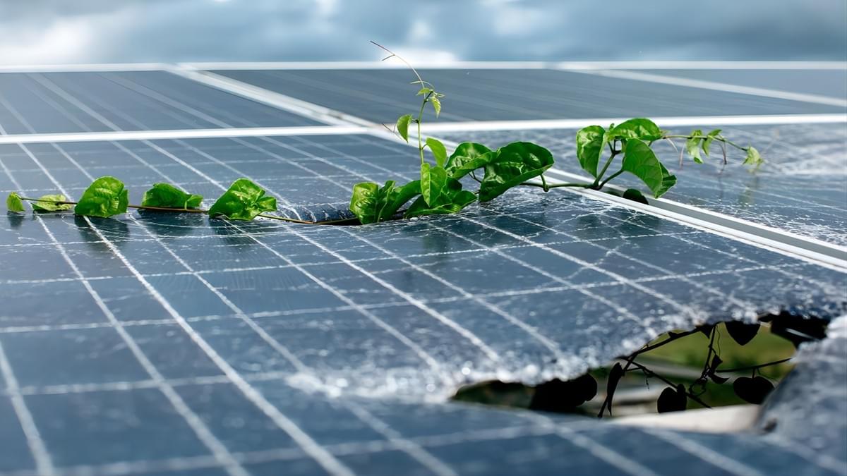 découvrez comment les panneaux solaires transforment notre approche de l'énergie durable et explorez les initiatives gouvernementales qui soutiennent cette révolution verte. informez-vous sur les aides financières, les programmes de subventions et les objectifs environnementaux pour un avenir énergétique responsable.