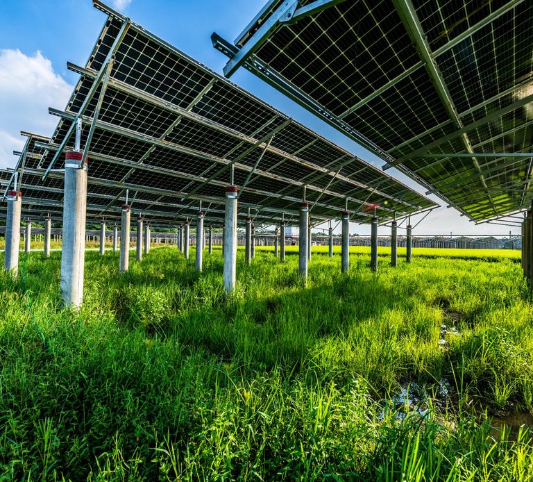 découvrez l'agrivoltaïsme en vendée, une solution innovante qui allie agriculture et énergie solaire. explorez comment cette pratique durable optimise les terres agricoles tout en produisant de l'électricité verte, contribuant à la transition énergétique et à la protection de l'environnement.
