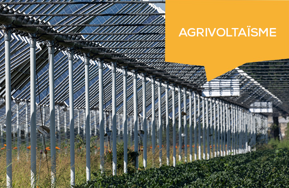découvrez l'agrivoltaïsme en vendée, une solution innovante qui allie agriculture et énergie solaire pour promouvoir une agriculture durable et respectueuse de l'environnement. explorez les avantages de cette pratique qui permet d'optimiser l'utilisation des terres tout en contribuant à la transition énergétique.