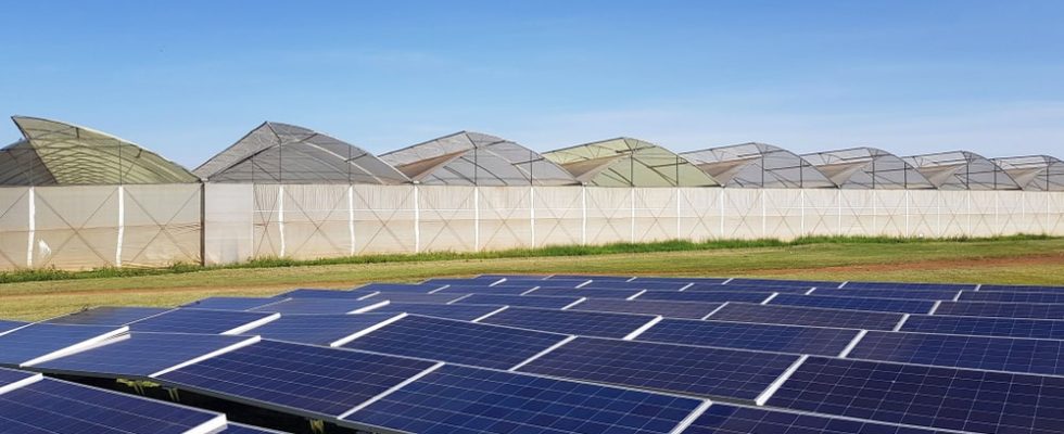 découvrez les nombreux avantages des panneaux solaires reconditionnés : économies sur votre facture d'énergie, respect de l'environnement et performance optimisée. optez pour une solution durable et économique pour votre projet énergétique !