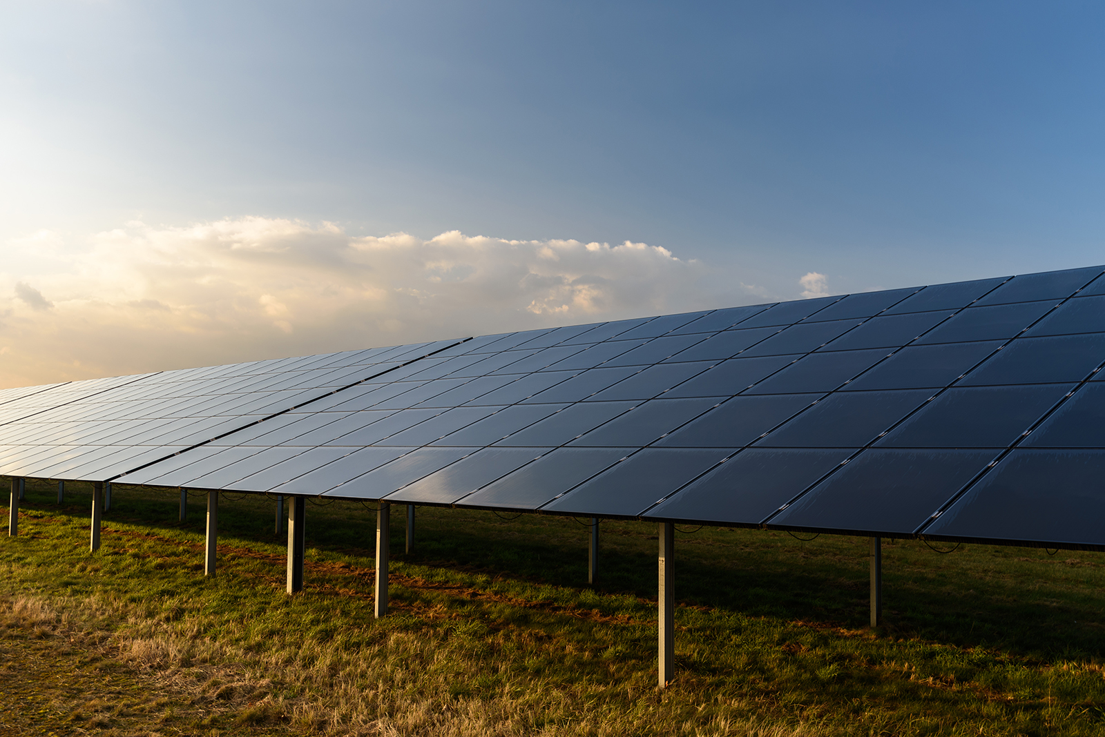 découvrez les clichés photovoltaïques, un incontournable pour comprendre l'énergie solaire. explorez leurs avantages, leurs applications et comment ils transforment notre manière de produire de l'électricité durablement.