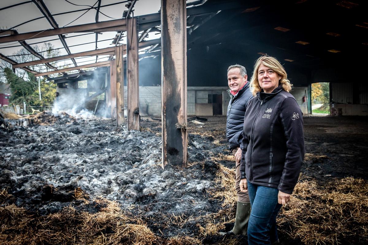 découvrez les dernières actualités sur l'incendie du hangar en dordogne. informez-vous sur les causes, les dégâts et les interventions des pompiers face à ce sinistre majeur.
