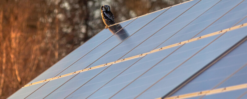 découvrez les avantages d'un investissement photovoltaïque. profitez de l'énergie solaire pour réduire vos factures d'électricité et contribuer à la transition énergétique. informez-vous sur les meilleures options d'installation et les aides financières disponibles.