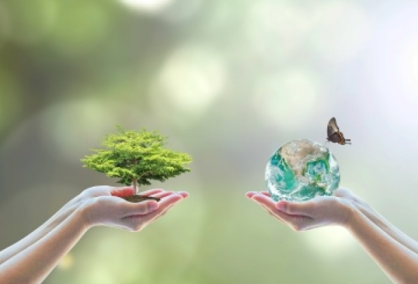 découvrez l'harmonie entre la nature et la durabilité à travers des pratiques éco-responsables, des solutions innovantes et des modes de vie respectueux de l'environnement. engagez-vous pour un avenir vert et durable.