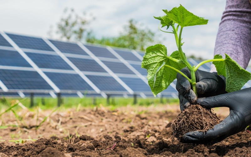 découvrez comment les panneaux photovoltaïques contribuent à la préservation de la biodiversité et à l'équilibre écologique. explorez les synergies possibles entre l'énergie solaire et la protection de notre environnement pour un avenir durable.