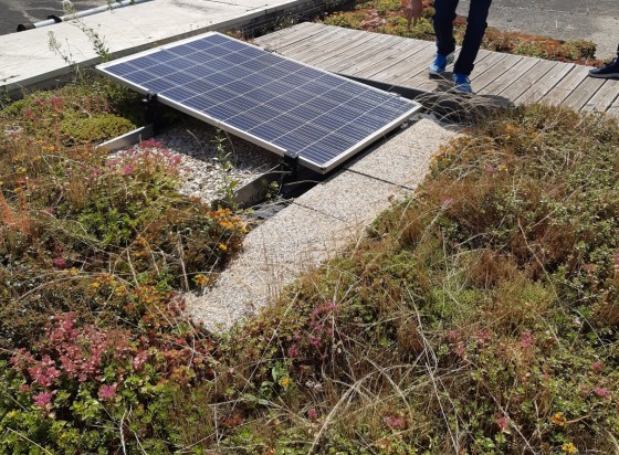 découvrez comment les panneaux photovoltaïques peuvent coexister avec la biodiversité. apprenez les bénéfices écologiques de l'agriculture solaire et les stratégies pour préserver les écosystèmes tout en produisant de l'énergie renouvelable.