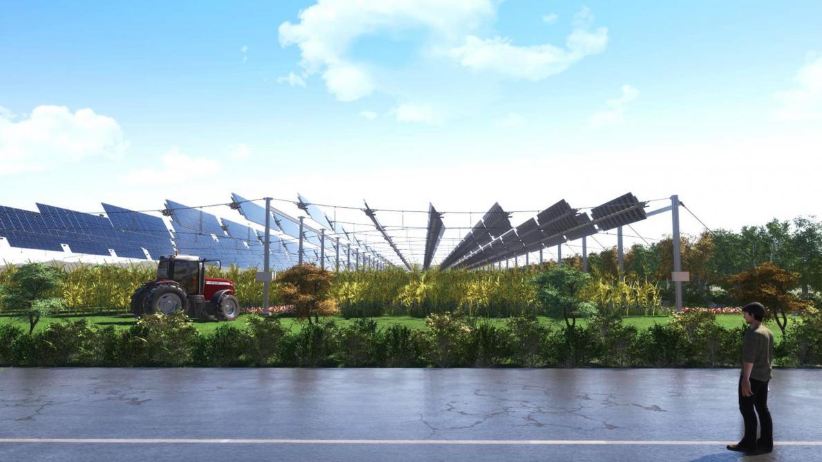 découvrez comment les panneaux solaires transforment les lacs de champagne en sources d'énergie renouvelable. profitez d'une solution écologique pour alimenter votre maison tout en préservant la beauté de la nature locale.