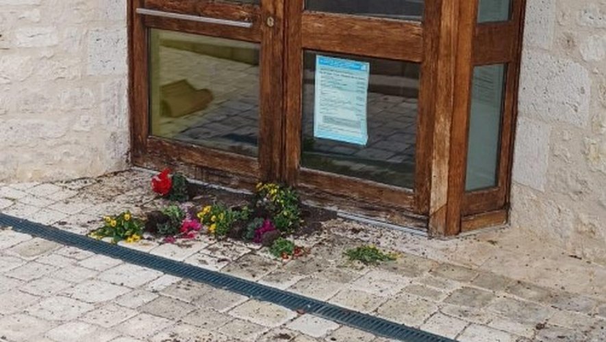 découvrez les enjeux et conséquences d'un projet agrivoltaïque abandonné. analyse des raisons de l'abandon, impact sur l'agriculture durable et perspective sur l'avenir des initiatives similaires.