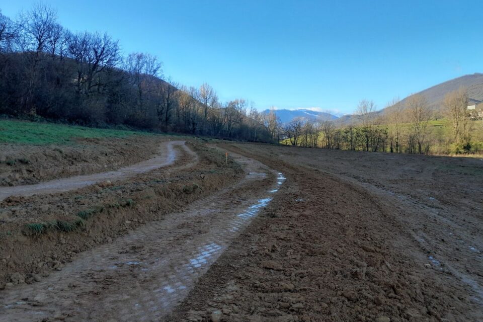 découvrez les enjeux et les raisons derrière l'abandon d'un projet agrivoltaïque : une approche prometteuse mêlant agriculture et énergie solaire, mais confrontée à des obstacles qui soulèvent des questions sur l'avenir des initiatives durables.