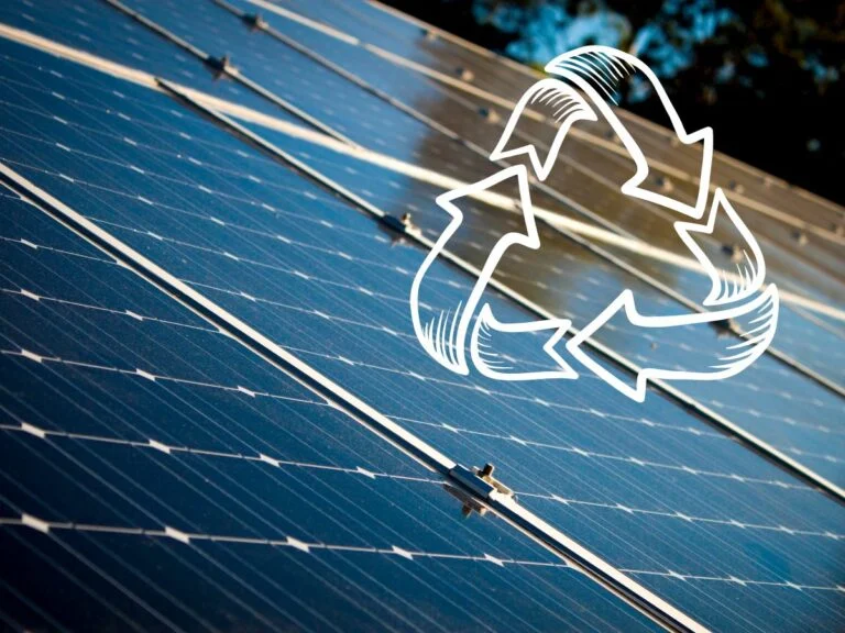 découvrez les meilleures pratiques pour le recyclage des panneaux photovoltaïques en 2024. protégez la planète tout en valorisant vos installations solaires grâce à des solutions écologiques et durables.
