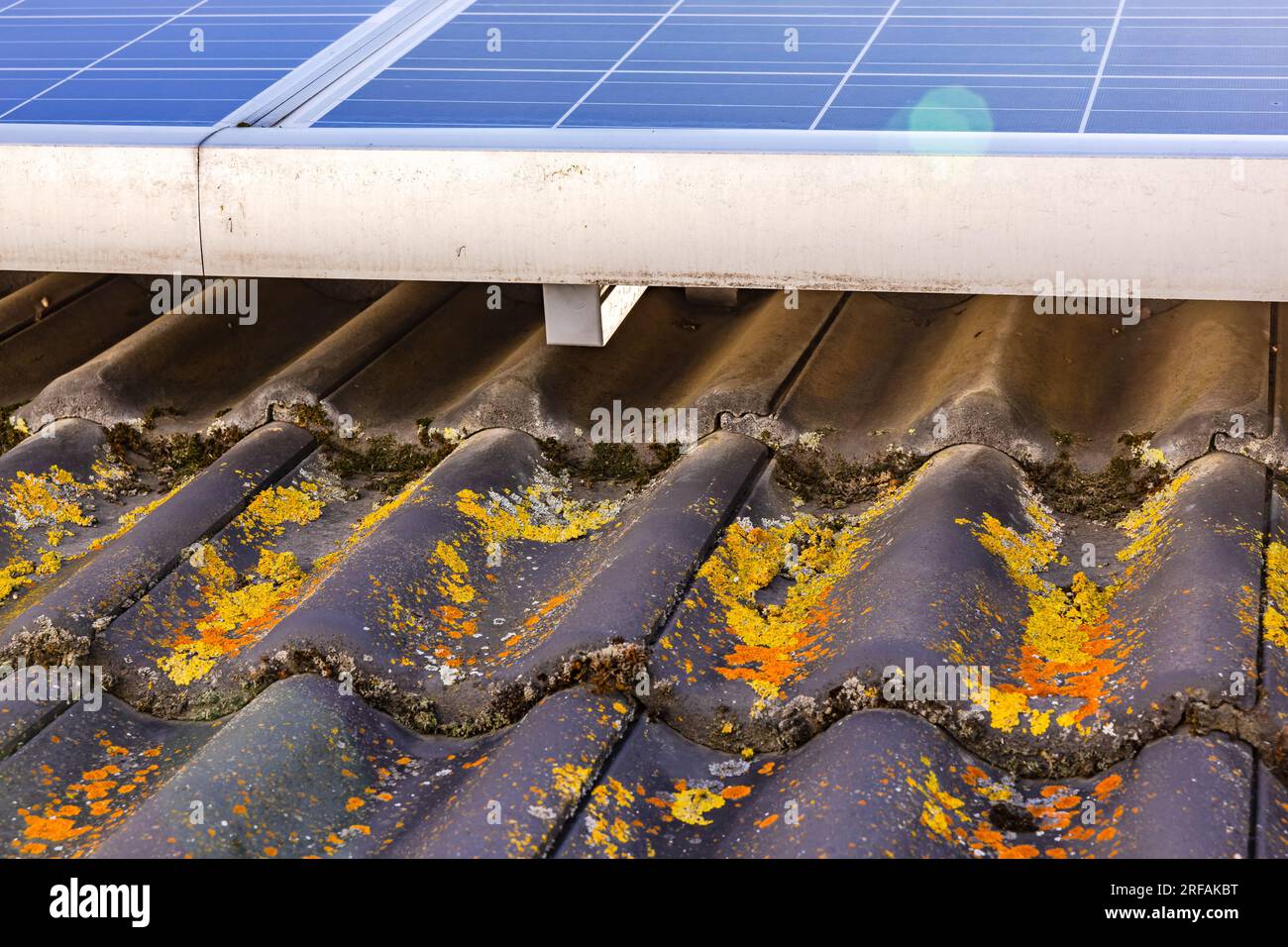 découvrez les sous-systèmes des panneaux photovoltaïques, essentiels pour optimiser la production d'énergie solaire. apprenez comment ces composants interagissent pour garantir un rendement maximal et une efficacité durable.