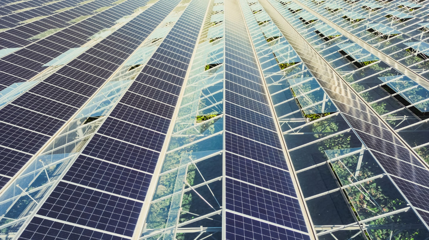 découvrez notre service de soutien pour les panneaux solaires, vous accompagnant dans l'installation, la maintenance et l'optimisation de votre système photovoltaïque. profitez d'une énergie renouvelable efficace tout en réduisant votre empreinte carbone.