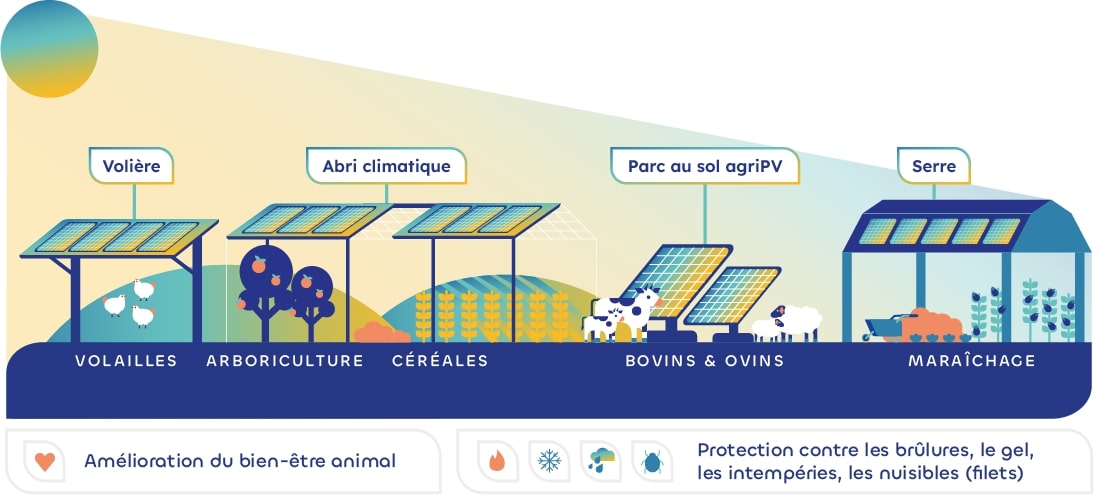 découvrez les nombreux avantages des panneaux solaires : des économies sur vos factures d'énergie, une réduction de votre empreinte carbone, et une source d'énergie renouvelable et durable pour un avenir meilleur. informez-vous sur les bénéfices économiques et environnementaux des systèmes solaires.